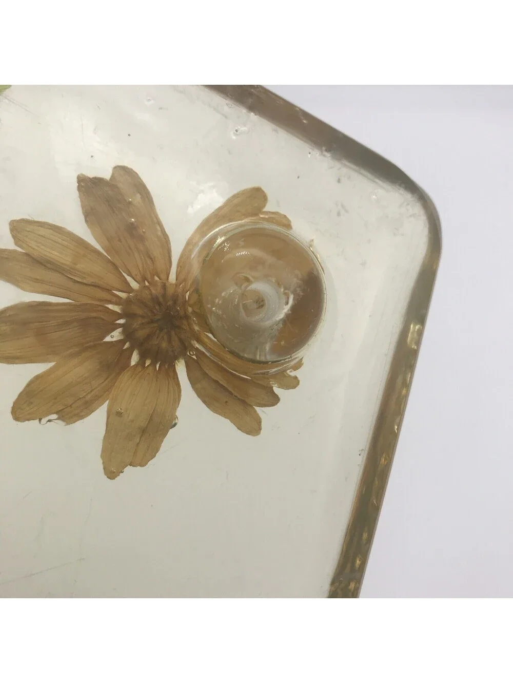 Vintage Acrylic Resin Trivet Daisy Fern Dried Flowers 7.75” Square MCM Footed